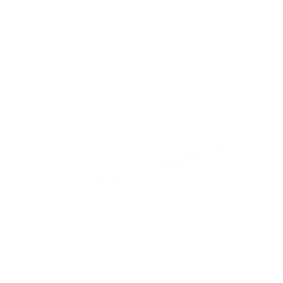 Zeppelin Graphics